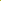 نرجس أصفر مبهج - Narcissus Yellow Cheerfulness - jabalitools